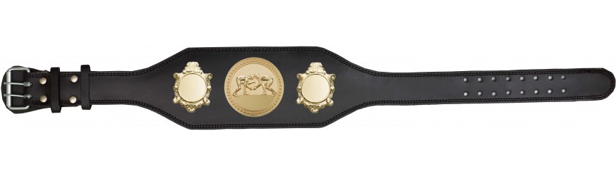 GRAPPLING CHAMPIONSHIP BELT-BUD003/G/GRAPG-4 COLOURS